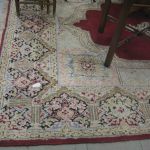 566 7663 ORIENTAL CARPET